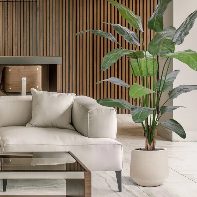 maxifleur Kunstplanten Strelitzia Nicolai deluxe Kunstpalm 200cm in pot Groen