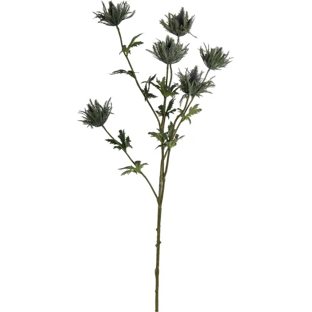 PTMD thistle plant groen distel spray met bladeren