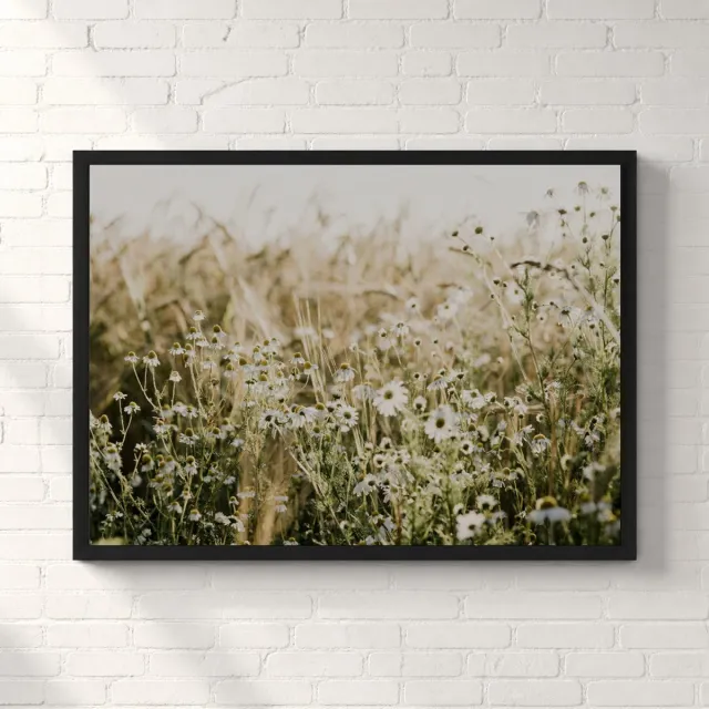 Kleurmedia Veld met Witte Margrieten Poster - Wildflower Nature Collection - Natuur Posters - A2+ 61 x 43,2 cm