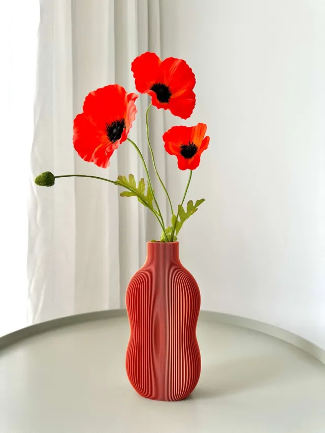 Plantjes van Birke BABBIA Siervaas Terracotta – Geribbelde Design Vaas – Droogbloemen Vaas – Bouwbloemen Vaas – Cadeau Woondecoratie Terracotta rood