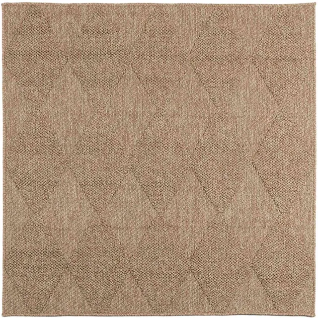 vidaXL Binnen- - en - buitenkleed - AGIRA - Naturel - 240 - x - 240 - cm - Polyester