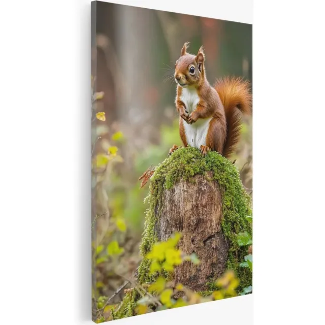 Saammp Canvas Schilderij - Eekhoorn op Boomstronk - Natuur - Dieren - 20x30 - Foto op canvas - Wanddecoratie - Muurdecoratie Woonkamer - Slaapkamer decoratie - Canvas Print Multicolor