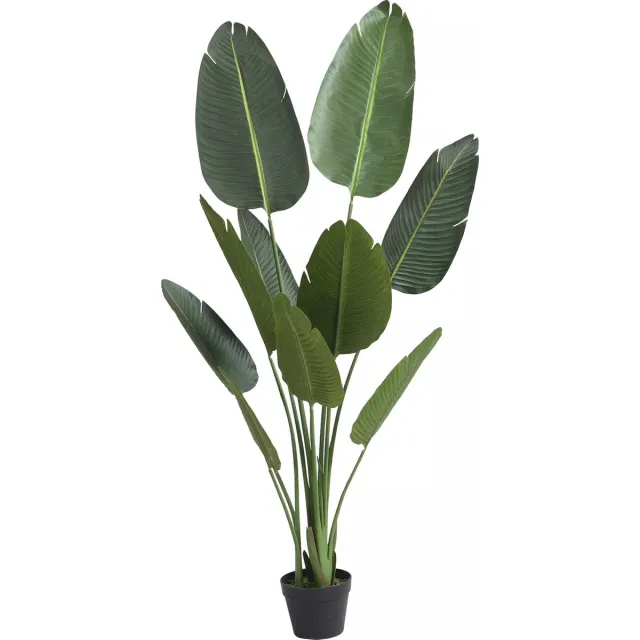 Vente-unique Kunstbananenboom met pot - H 160 cm - Groen - NENDAZ