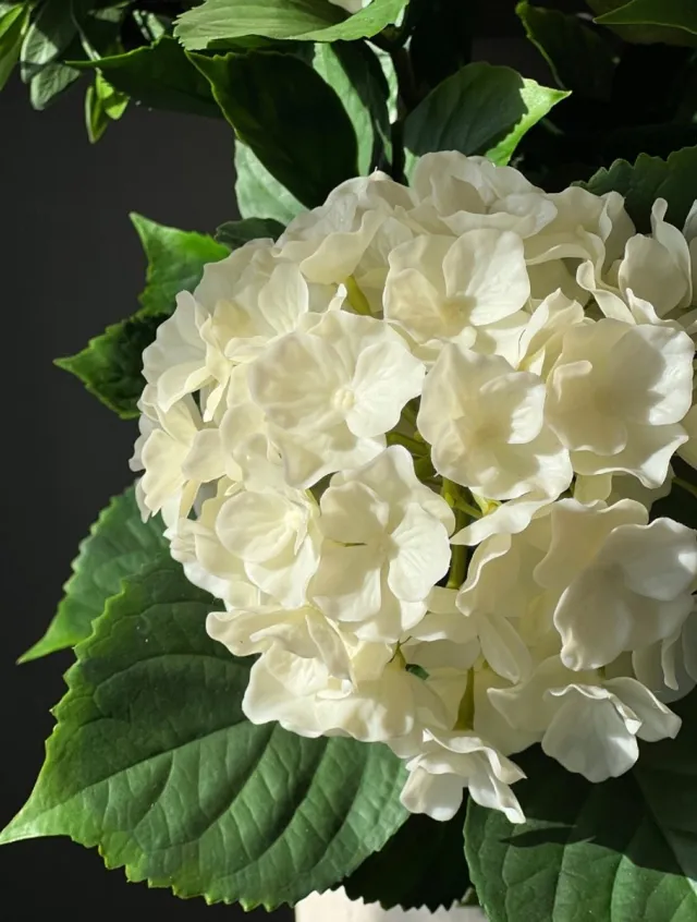 LeopoldFlora Kunst Hortenisa wit XL 80cm UV Groen