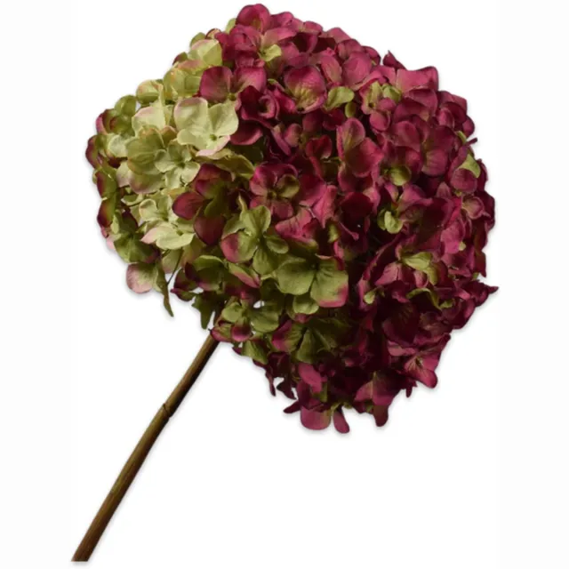 Silk-ka Hortensia tak beauty 79 cm Donkerrood