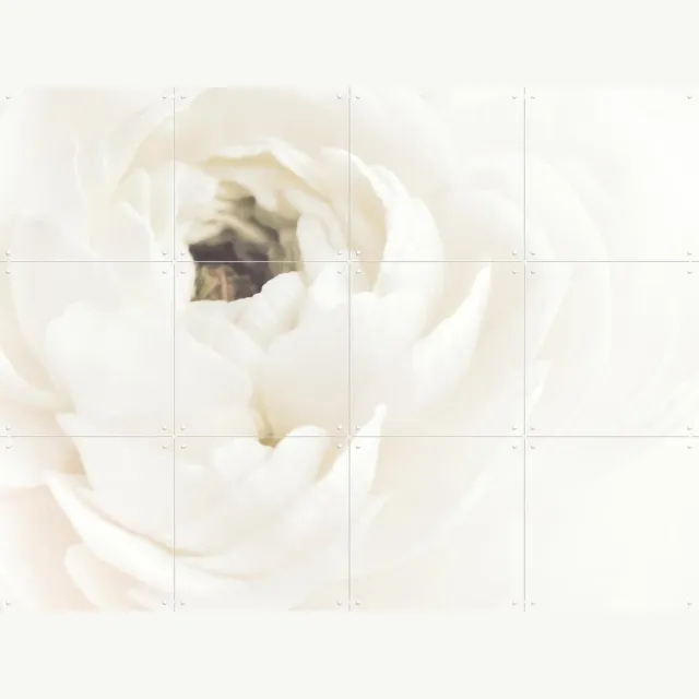 IXXI White Flower 02, 1x Studio II & Various - 80 x 60 cm - Grote wanddecoratie en posters - Realisme, Impressionisme, Slaapkamer, Gang, Woonkamer Wit