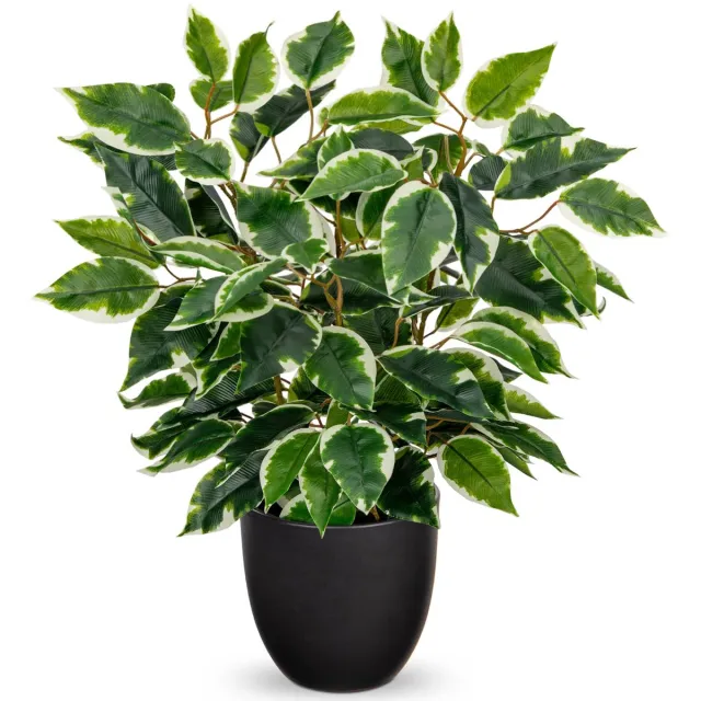 Unyqoos Decoratieve kunstplant ficus in pot voor elke ruimte en interieurstijl Groen en wit