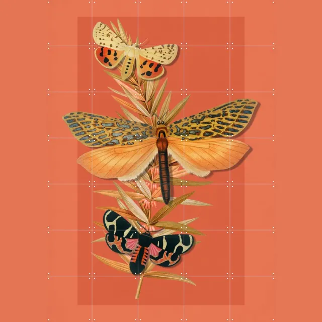 IXXI Summer Into Autumn, Marja van den Hurk - 100 x 140 cm - Grote wanddecoratie en posters - Fantasierijk, Vintage, Naturalisme, Kleurrijk Oranje