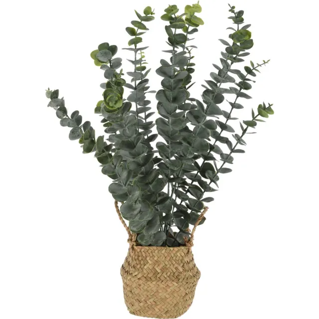 Home & Styling Kunst eucalyptus plant - in rieten mand - 50 cm - voor binnen - kunstplant Groen