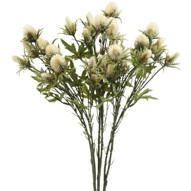 Viana Distel kunsttak creme 10 bloemhoofdjes 68cm 3st, 3 Stück Natuur