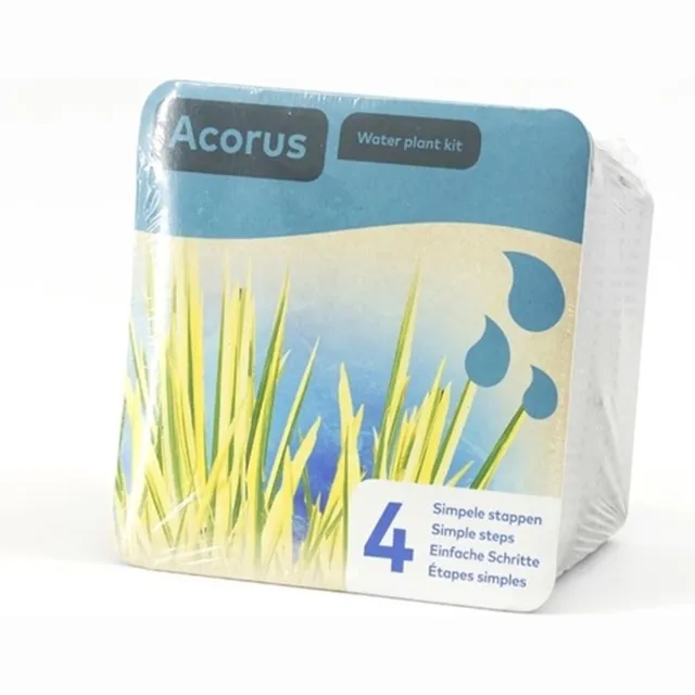 Moerings Droogverpakking vijverplant - Acorus Groen