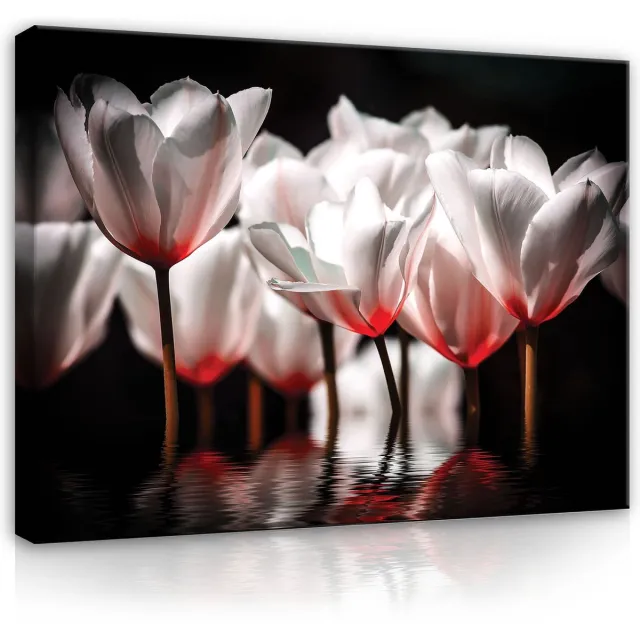 Canvas Schilderij - Bloemen - Planten - Wit - Water - Natuur - Inclusief Frame - 100x75cm (lxb)