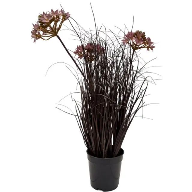 Oosterik Home Tulbaghia Violacea siergras in pot H 50 cm kunstplant Oosterik Home onbekend