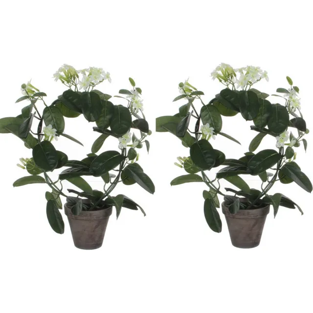 Mica Decorations Kunstplant - 2x stuks - Stephanotis bruidsbloem - wit - H50 x D40 cm