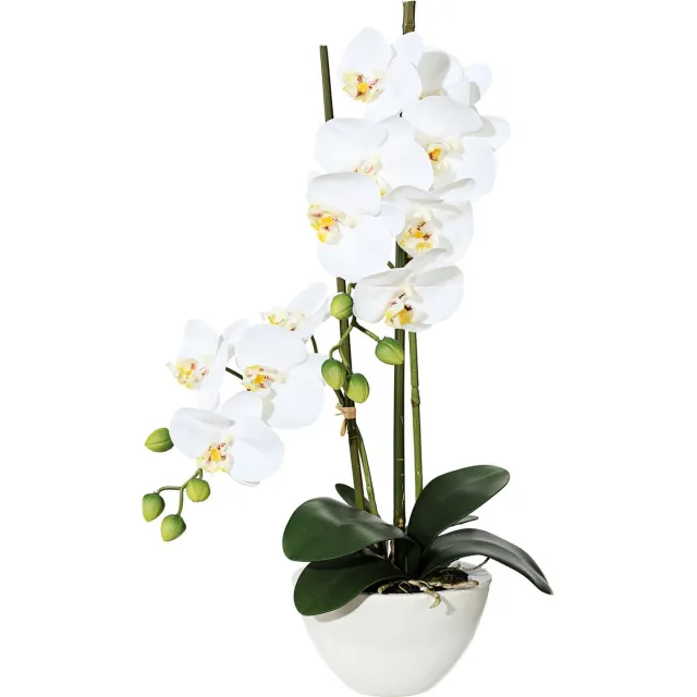 Kopu Kunstbloem Orchidee 50 cm Wit met cement Sierpot - Phalenopsis