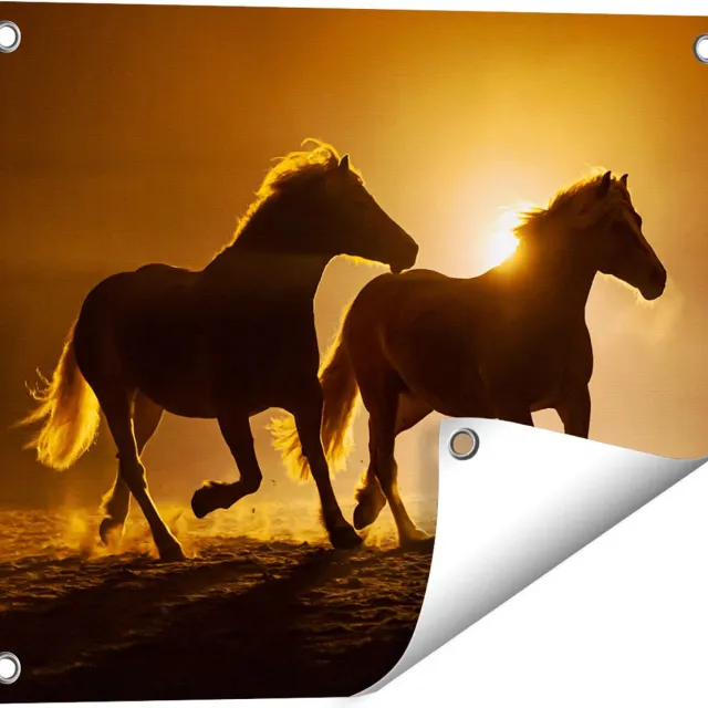 Gards Tuinposter Silhouet van Twee Paarden - 50x40 cm - Tuindoek - Tuindecoratie - Wanddecoratie buiten - Tuinschilderij Multikleur