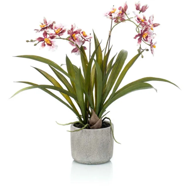 Emerald Kunstplant in pot Oncidium bordeux 45cm - Kunstplant voor binnen Bordeaux