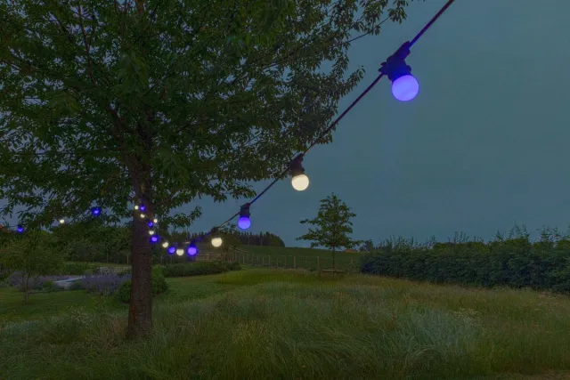 Happy Lights HappyLights lichtsnoer buiten [Outdoor] Cool Blue - 50 LED's - 25m