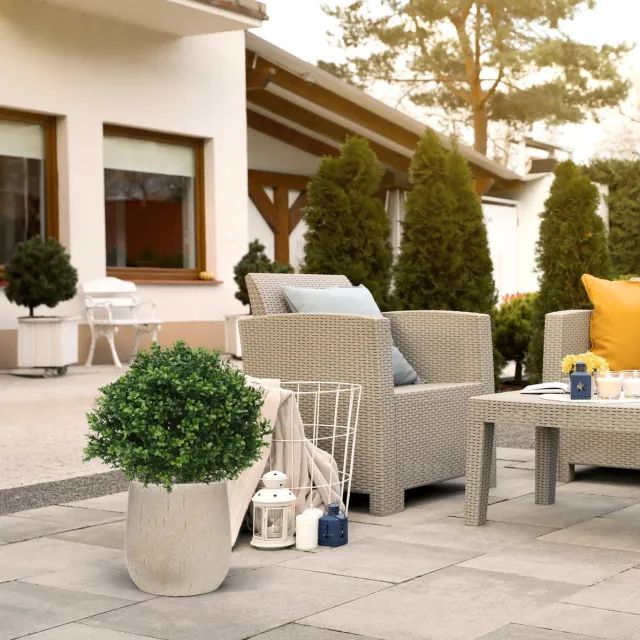 maxifleur Kunstplanten Buxus bol deluxe kunstplant N 40cm - UV bestendig Groen