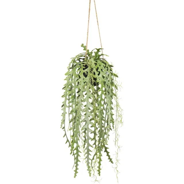 Kunstpalm Kunst Hangplant Zaagcactus 65 cm | Groen | Kunst Hangplant - Nep Hangplant - Kunstplant in hangpot Lichtgroen