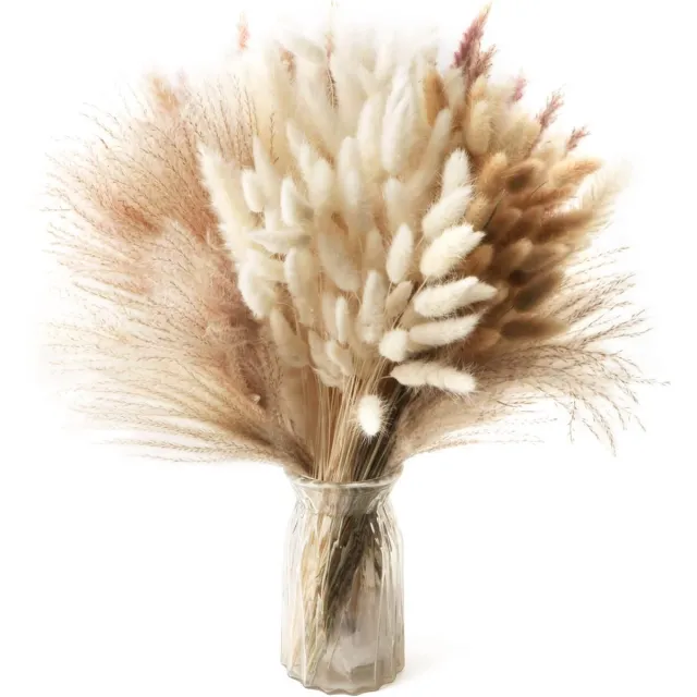 meerklose 185 stuks natuurlijke gedroogde pampasgras, decoratie, hoge pomp, bloemen, riet, gras, haas, gedroogde staarten, boho, bloemenarrangement voor tafel, bruiloft, woonkamer, slaapkamer, handwerk veelkleurig
