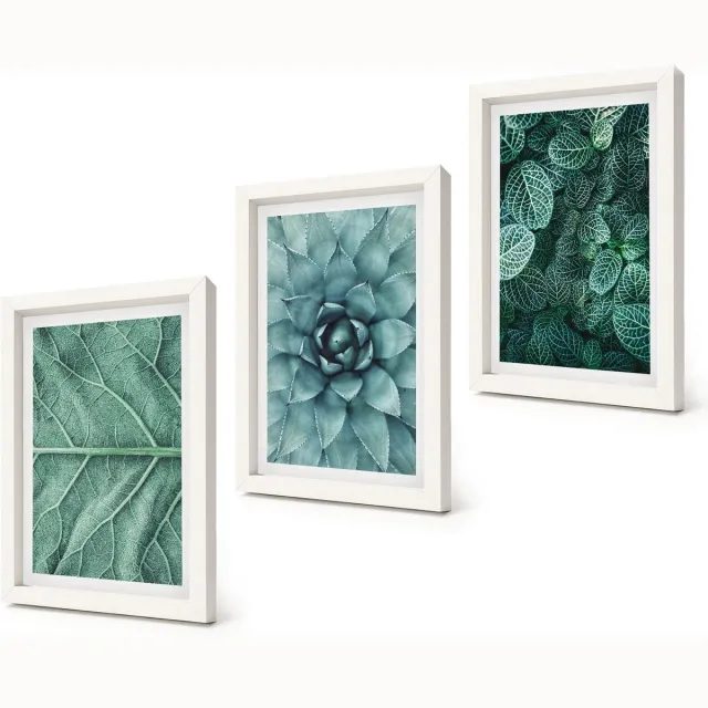 Coloray 3-Delige Schilderij Set - Close-ups van planten, bladeren en vetplanten - 20x30 - Wanddecoratie - Muurdecoratie - Moderne Interieurdecoratie - Interieur Decoratie Witte lijst