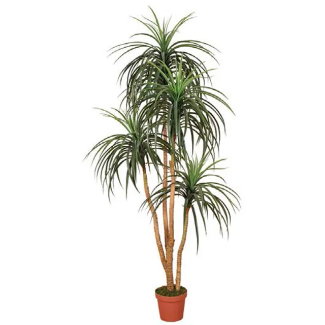 Intergard Kunstplanten Nolina 185cm groen/lichtbruin