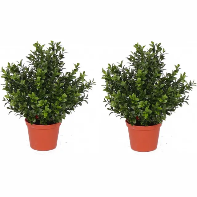 Bellatio Flowers & Plants Kunstplant Buxus - 2x - groen - in pot - 31 cm - Kantoor/huiskamer - nep/namaak planten