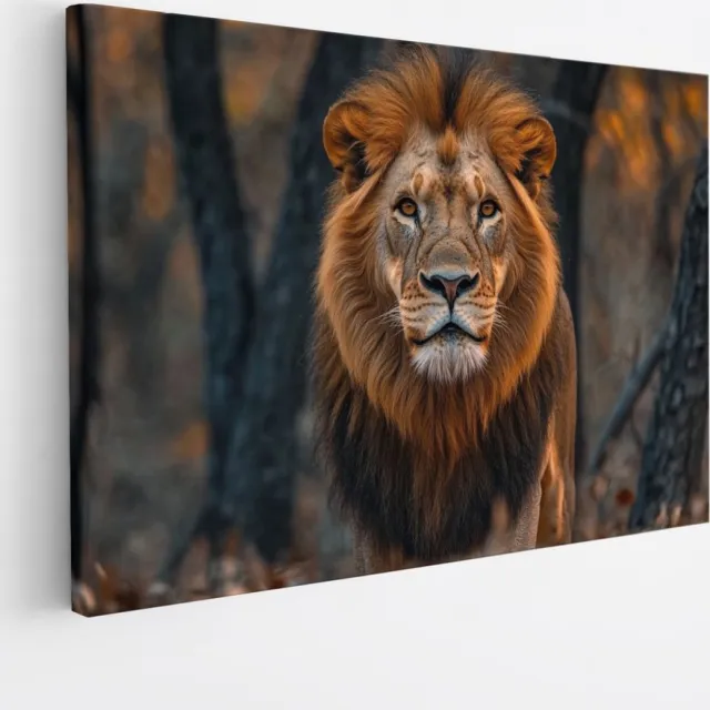 Saammp Canvas Schilderij - Leeuw tussen de bomen - Dieren - Natuur - 60x40 - Foto op canvas - Wanddecoratie - Muurdecoratie Woonkamer - Slaapkamer decoratie - Canvas Print Multicolor