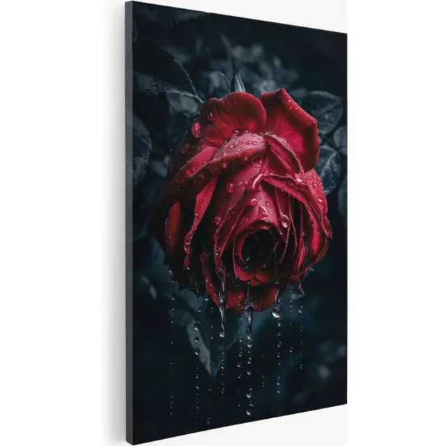 Saammp Canvas Schilderij - Natte Rode Roos - Bloemen - 50x70 - Foto op canvas - Wanddecoratie - Muurdecoratie Woonkamer - Kantoor Decoratie Multicolor