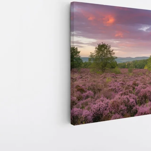 Saammp Canvas Schilderij - Groot lavendelveld - Landschap - Natuur - 100x100 - Foto op canvas - Wanddecoratie - Muurdecoratie Woonkamer - Slaapkamer decoratie - Canvas Print Multicolor