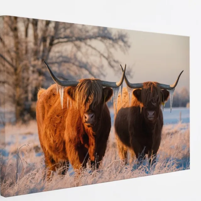 Saammp Canvas Schilderij - Schotse Hooglander Koe - Abstract - Dieren - Natuur - 150x100 - Foto op canvas - Wanddecoratie - muurdecoratie Woonkamer - Slaapkamer decoratie - Canvas Print Multicolor