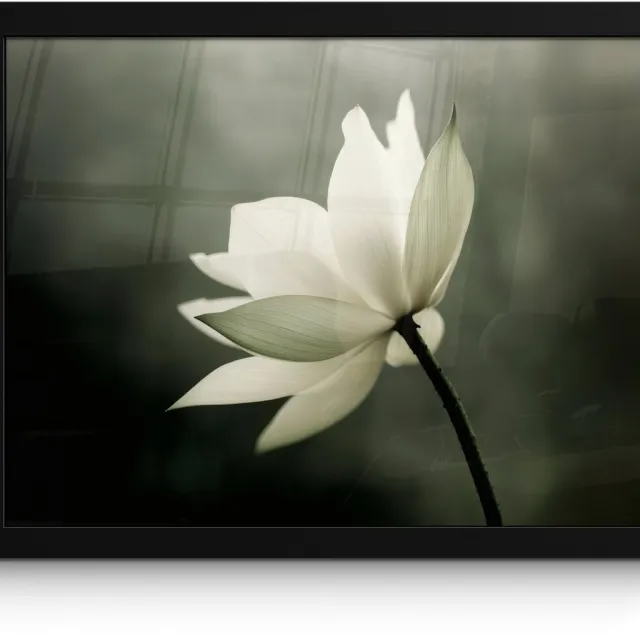 FrameYourWall Poster in lijst - Fotolijst 40x30 cm - Posters - Wit - Lotus - Donker - Bloem - Posterlijst zwart - Decoratie - Wanddecoratie woonkamer - Muurdecoratie slaapkamer Lotus - Bloem