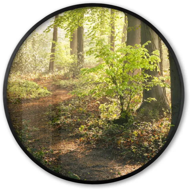 FrameYourWall Poster in lijst Rond - Fotolijst 80x80 cm - Posters - Bos - Bomen - Pad - Zon - Planten - Bladeren - Natuur - Ronde posterlijst zwart - Decoratie - Wanddecoratie woonkamer - Muurdecoratie slaapkamer