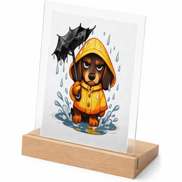 Mr Cadeautjes Glasframe met vaste tekst - design Een chagrijnige teckel in een regenjas met een kapot ogende | cadeau Wit
