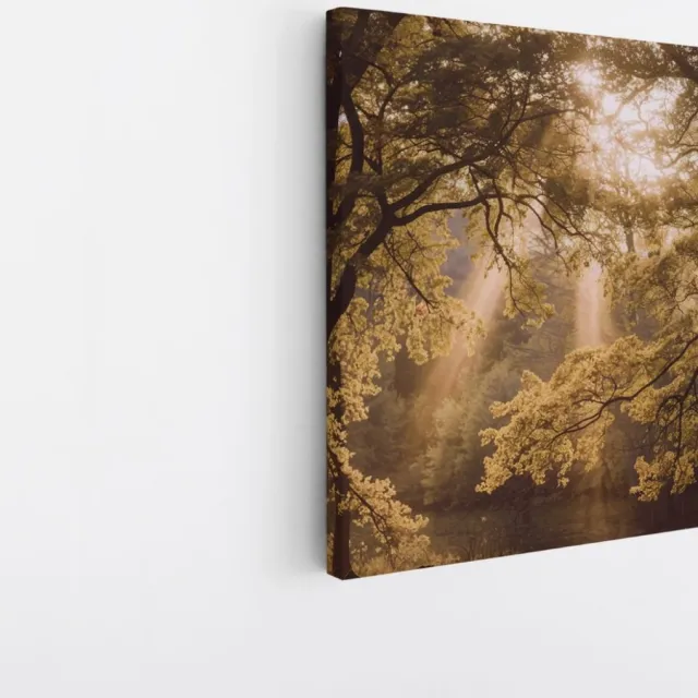 Saammp Canvas Schilderij - Lichtval - Bomen - Landschap - Natuur - 40x40 - Foto op canvas - Wanddecoratie - Muurdecoratie Woonkamer - Slaapkamer decoratie - Canvas Print Multicolor