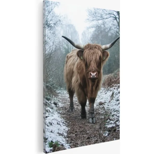 Saammp Canvas Schilderij - Schotse hooglander koe in de sneeuw - Dieren - Abstract - 80x120 - Foto op canvas - Wanddecoratie - Muurdecoratie Woonkamer - Slaapkamer decoratie - Canvas Print Multicolor