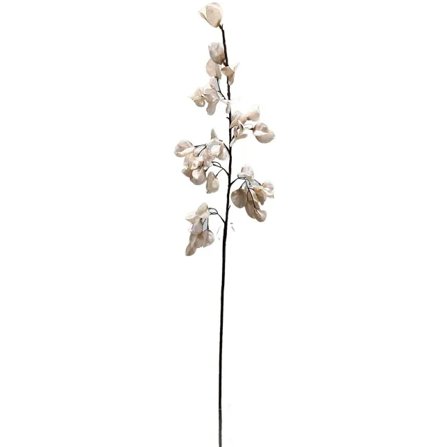 homebound by ky Kunst bloesemtak Koelreuteria 106cm off-white