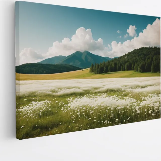 Saammp Canvas Schilderij - Landschap - Witte bloemenveld met naaldbomen - Natuur - 40x30 - Foto op canvas - Wanddecoratie - Muurdecoratie Woonkamer - Slaapkamer decoratie - Canvas Print Multicolor