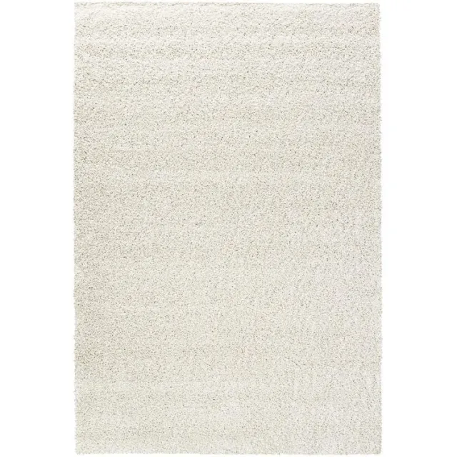 Budget Home Store Vloerkleed Teun wit 200x290cm