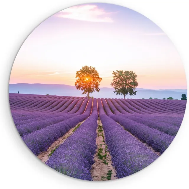 Saammp Muurcirkel Hout - Lavendelveld met de zon tussen de bomen - Natuur - Landschap - Ø 50 - Wandcirkel - Wanddecoratie Cirkel - Muurdecoratie Woonkamer - Slaapkamer decoratie - Rond Schilderij