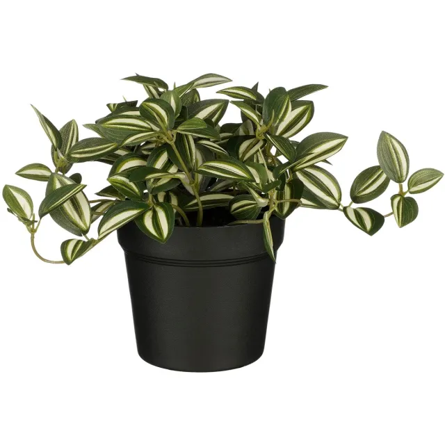 Mica Decorations Kunstplant mica tradescantia in pot groen | 6 stuks