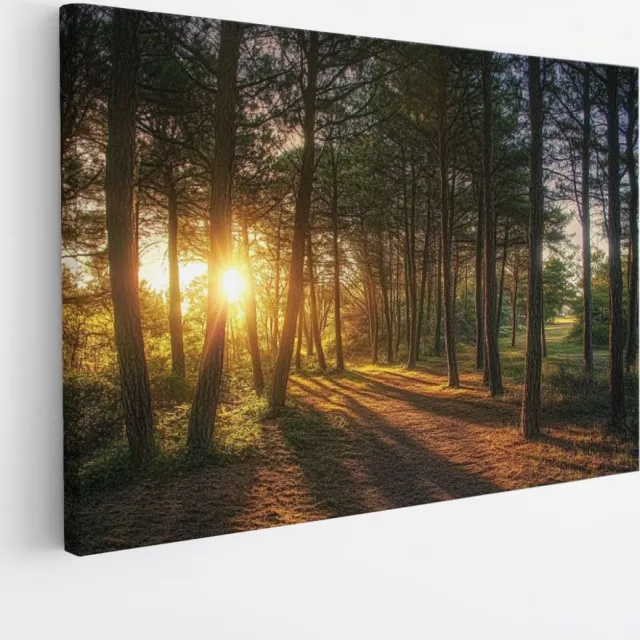 Saammp Canvas Schilderij - Natuur - Zonsondergang - Landschap - 100x75 - Foto op canvas - Wanddecoratie - Muurdecoratie Woonkamer - Slaapkamer decoratie - Canvas Print Multicolor