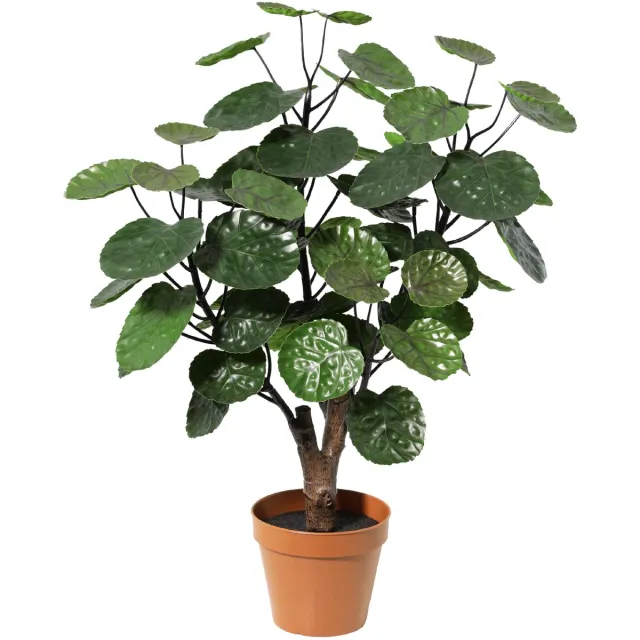 Florafy Kunstplant Polyscias Fabian 53cm - Kunstplanten voor binnen - Onderhoudsvrij Groen