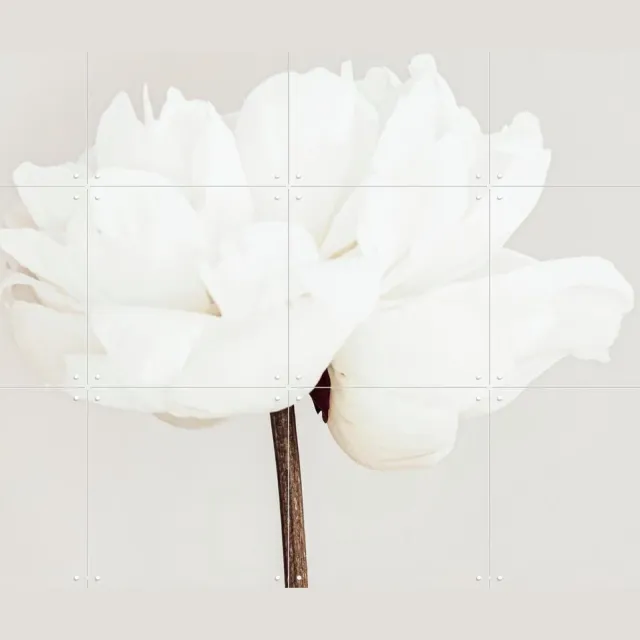 IXXI White Bloom Serenity, 1x Studio II & Various - 80 x 60 cm - Grote wanddecoratie en posters - Abstract, Woonkamer, Slaapkamer, Gang, Boeket Wit