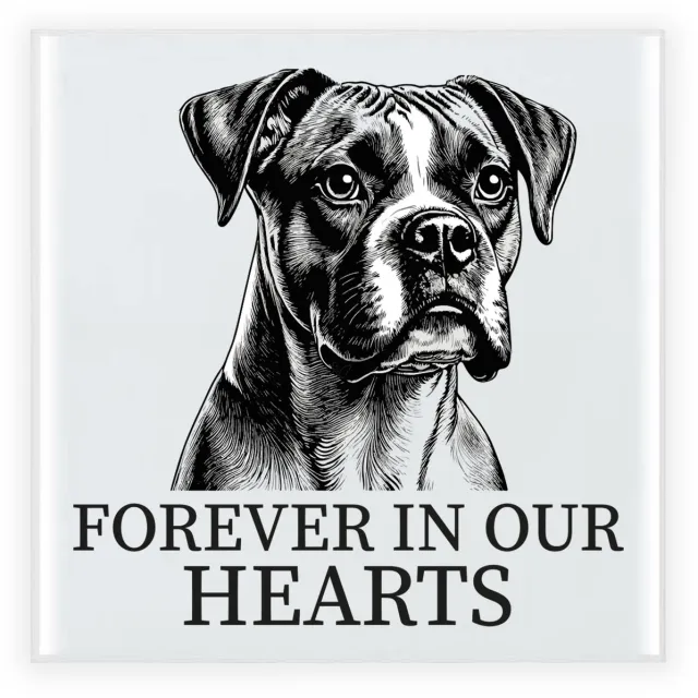 Bellatio Decorations Herdenkings cadeau tegel - hondenliefhebber - Boxer hond - zwart/wit - 15 cm