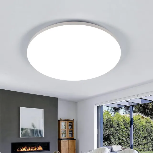 Haobosic Ronde witte LED-plafondlamp met een diameter van 30 cm - 24 W (wit licht 6500 K) - Bescherming tegen insecten en stof White