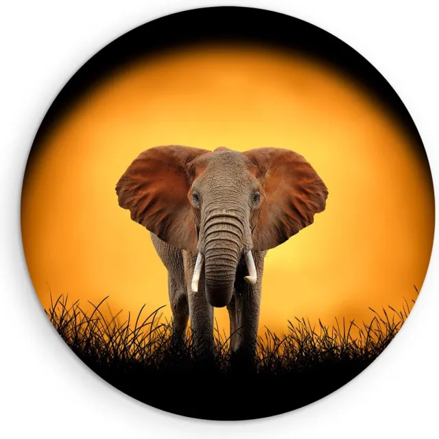 Saammp Muurcirkel Hout - Olifant voor de zon - Natuur - Dieren - Ø 50 - Wandcirkel - Wanddecoratie Cirkel - Muurdecoratie Woonkamer - Slaapkamer decoratie - Rond Schilderij