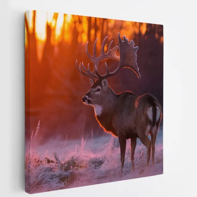 Saammp Canvas Schilderij - Hert - Portret - Winter - Natuur - Dieren - 20x20 - Foto op canvas - Wanddecoratie - Muurdecoratie Woonkamer - Slaapkamer decoratie - Canvas Print Multicolor