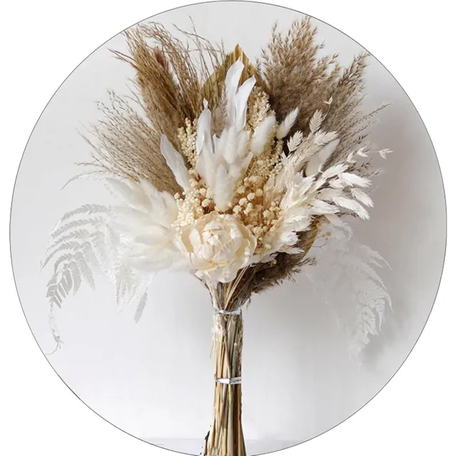 By Shayne ByShane - 49 Stuks Gedroogde Natuurlijke Pampas Gras voor Boho Interieur - Decoratieve Bloemen voor Woonkamer, Tafel, Slaapkamer, Bruiloft en Badkamer Beige
